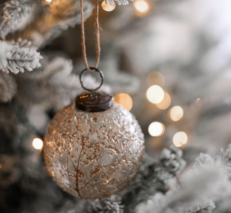Creating a Festive Christmas Garland: Tips for a Clean Home and a Strong Immune System